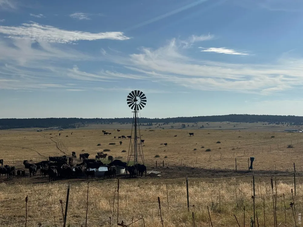 29643 County Road 17/21 Elizabeth, CO 80107