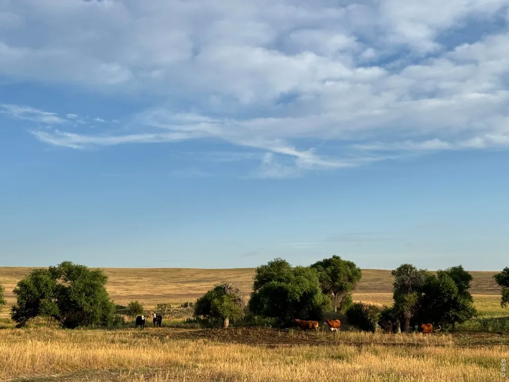 29643 County Road 17/21 Elizabeth, CO 80107