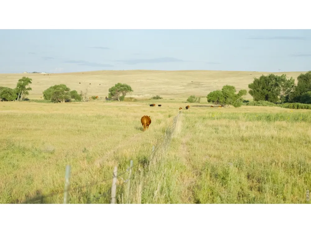 29643 County Road 17/21 Elizabeth, CO 80107