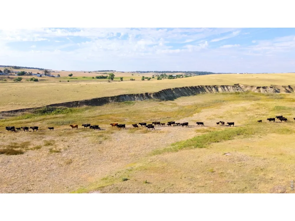 29643 County Road 17/21 Elizabeth, CO 80107