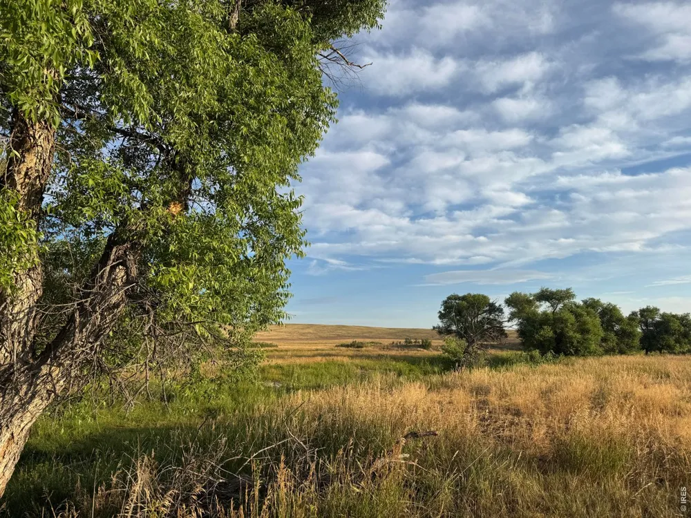 29643 County Road 17/21 Elizabeth, CO 80107