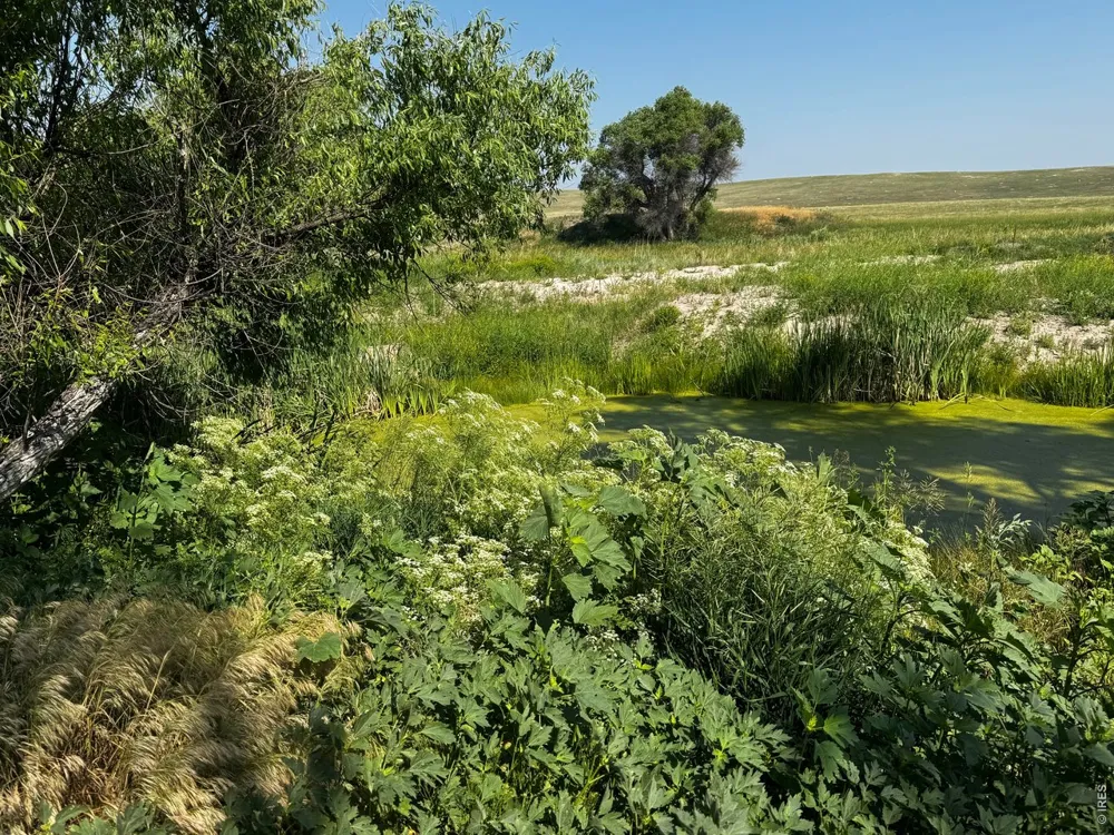 29643 County Road 17/21 Elizabeth, CO 80107