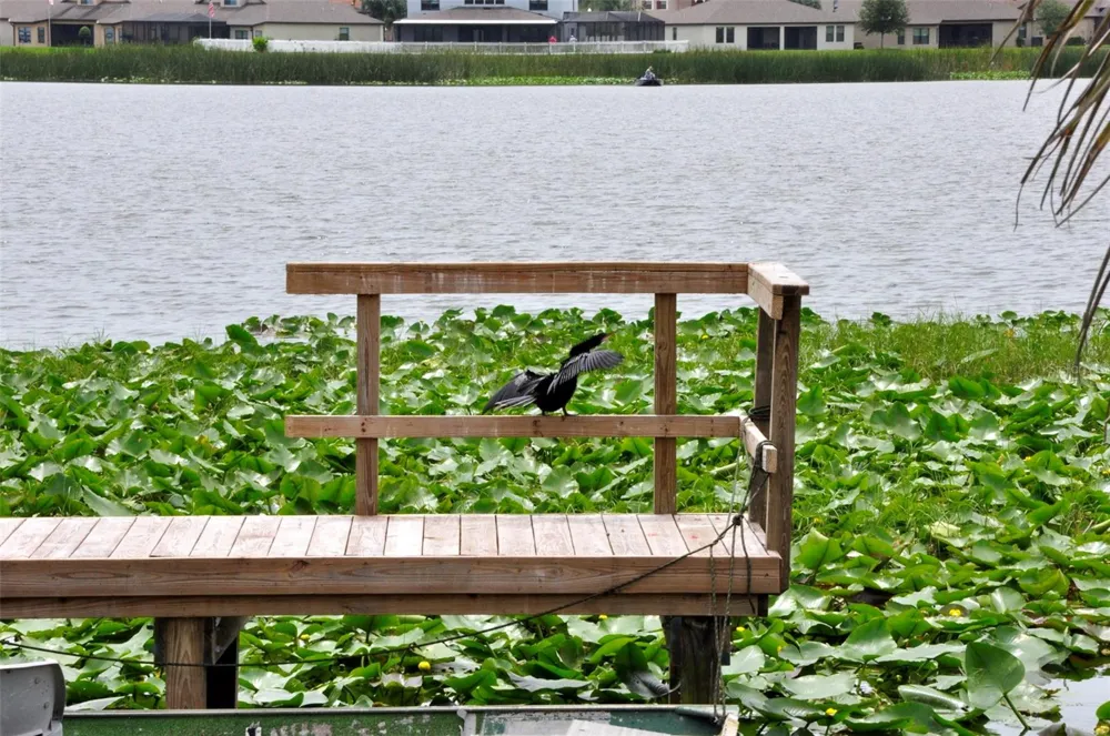 1600 W LAKE PARKER DRIVE #A25 Lakeland, FL 33805