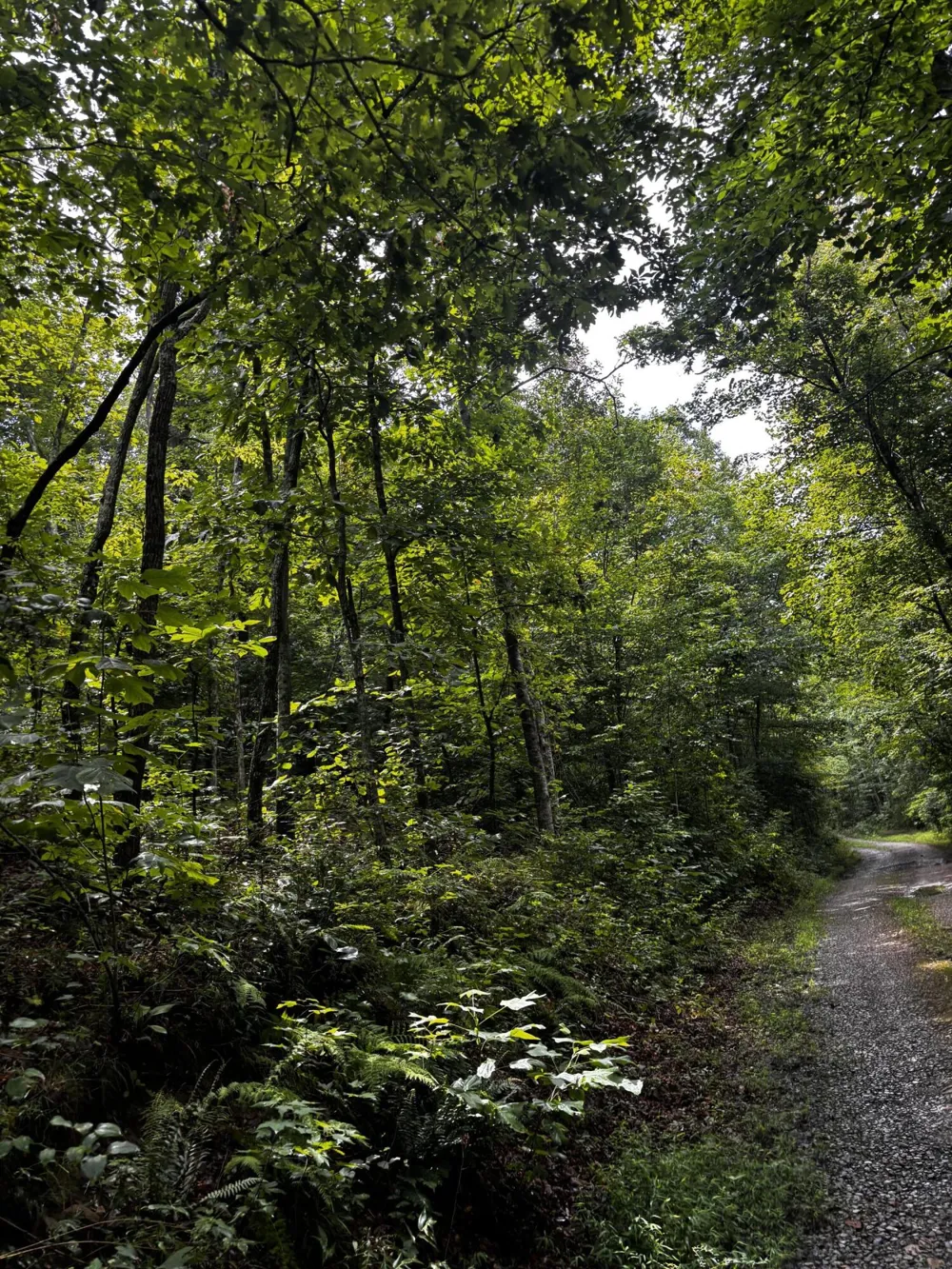 266 Cove Hill Road Pikeville, TN 37367
