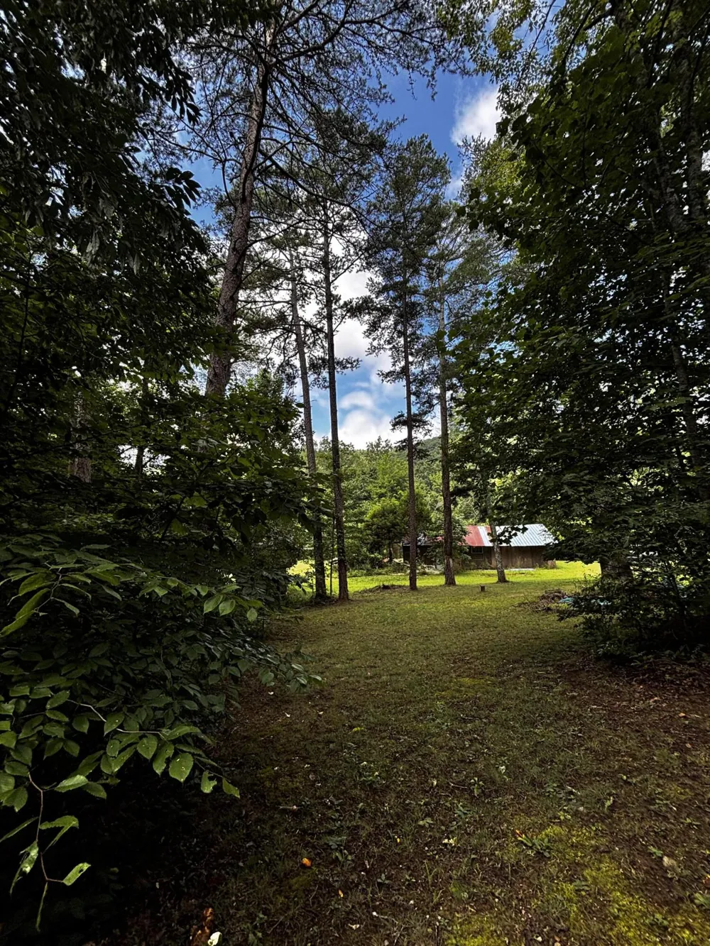 266 Cove Hill Road Pikeville, TN 37367