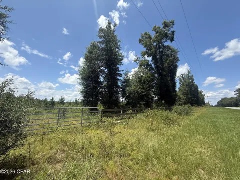 Peanut Road