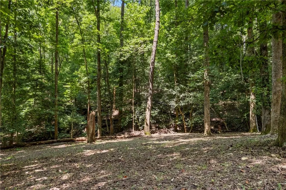 439 Nighthawk View Demorest, GA 30535