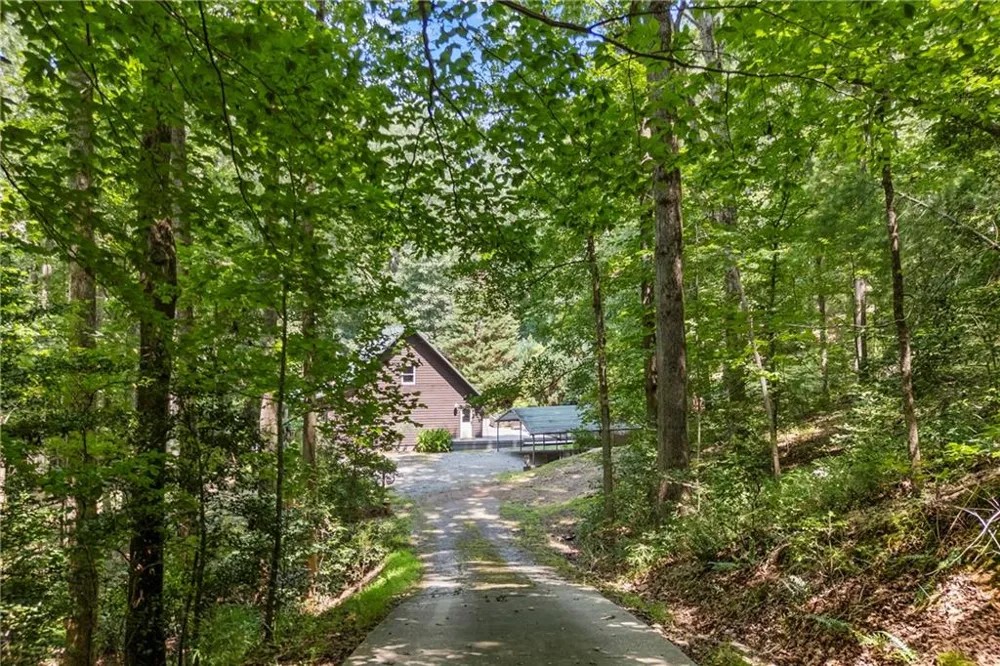 439 Nighthawk View Demorest, GA 30535