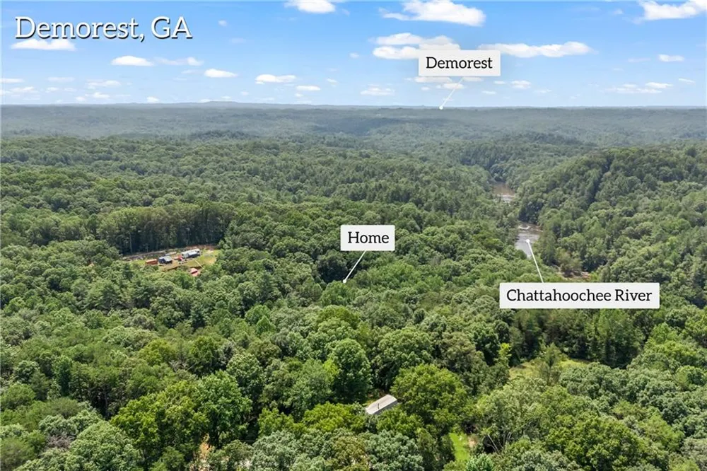 439 Nighthawk View Demorest, GA 30535