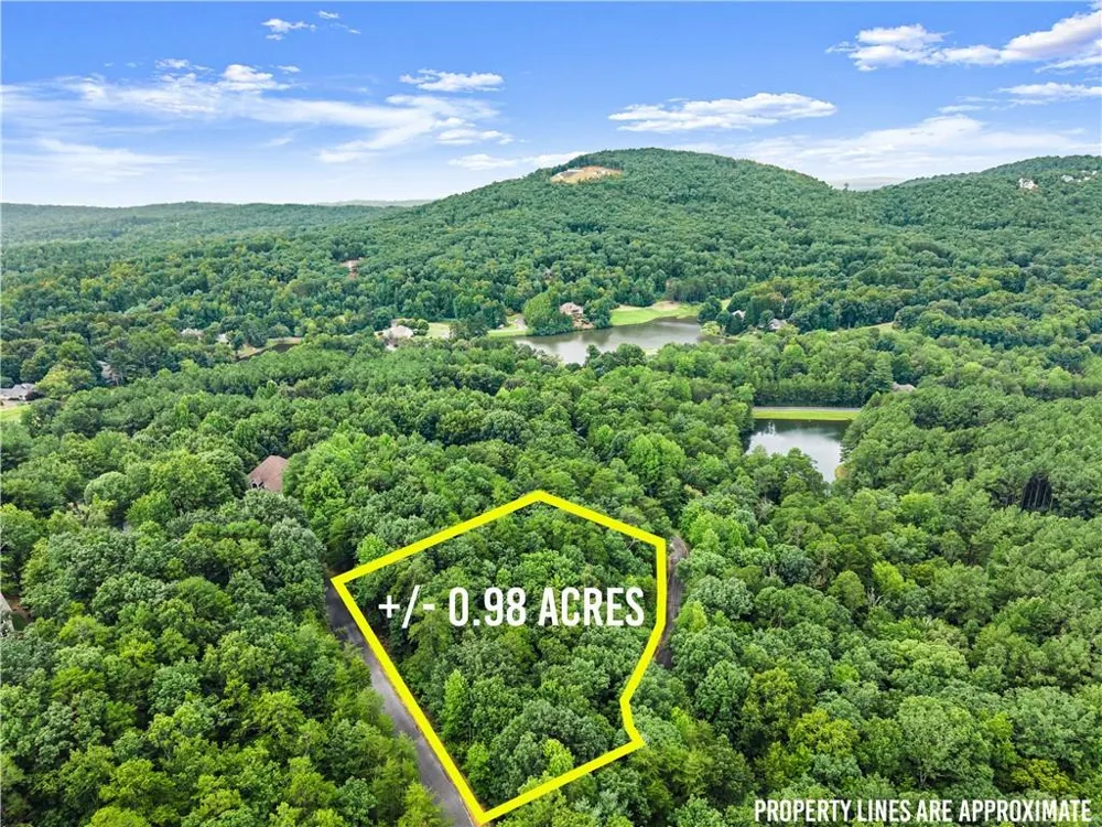 349 Golden Lane Clarkesville, GA 30523
