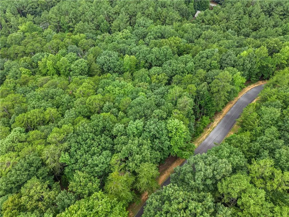 349 Golden Lane Clarkesville, GA 30523