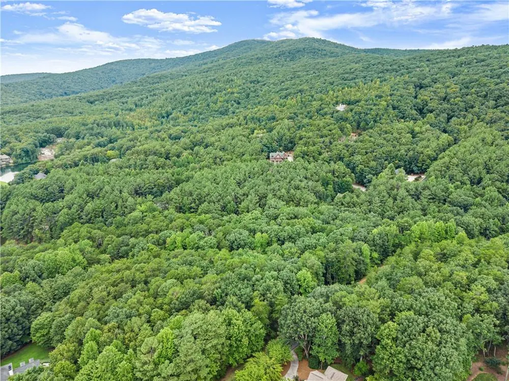 349 Golden Lane Clarkesville, GA 30523