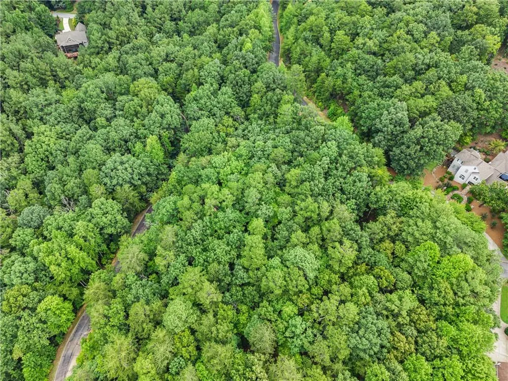 349 Golden Lane Clarkesville, GA 30523