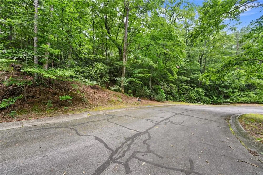 349 Golden Lane Clarkesville, GA 30523