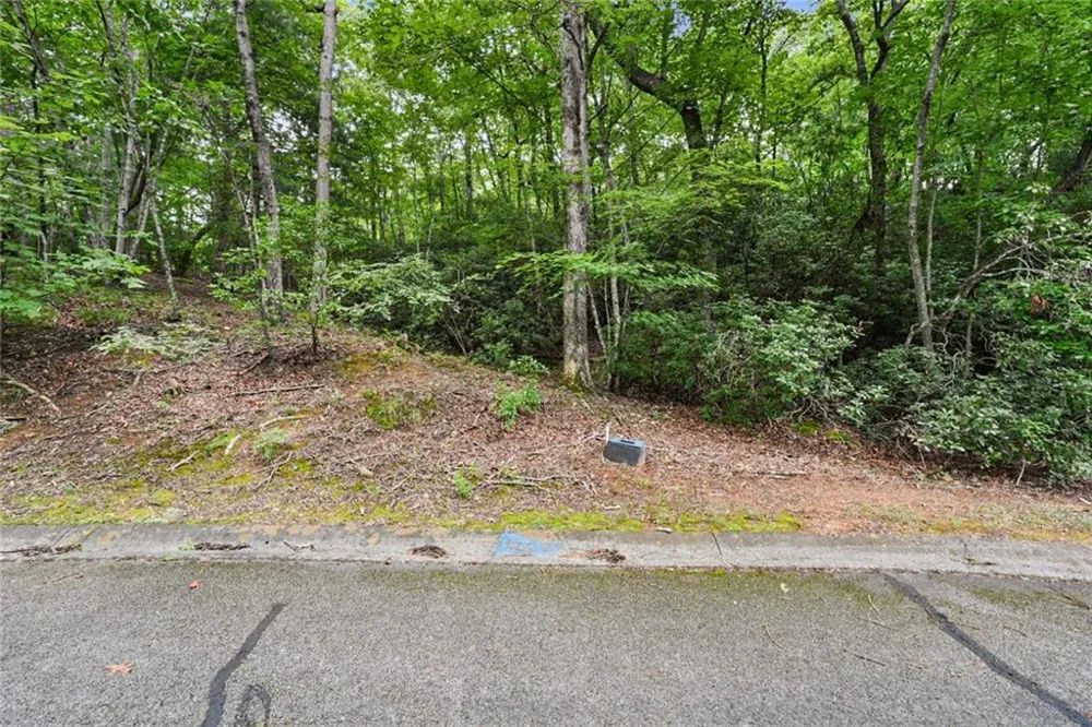 349 Golden Lane Clarkesville, GA 30523
