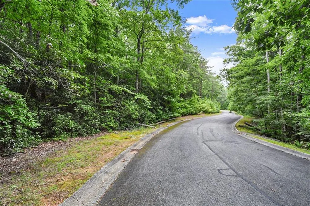 349 Golden Lane Clarkesville, GA 30523