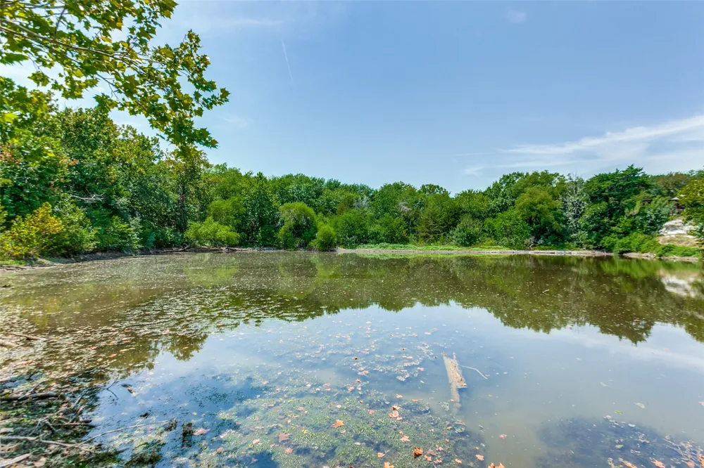 162 Shelby Trace Murphy, TX 75094