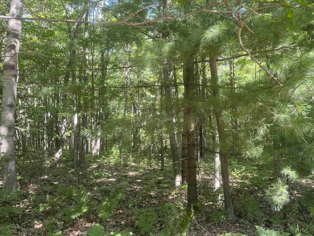 5200 S Huron Standish Township, MI 48658