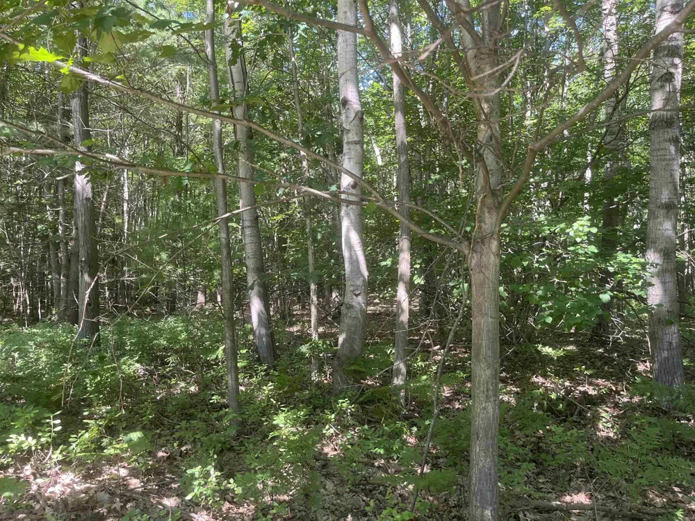 5200 S Huron Standish Township, MI 48658