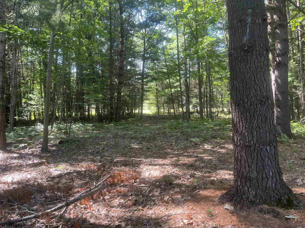 5200 S Huron Standish Township, MI 48658