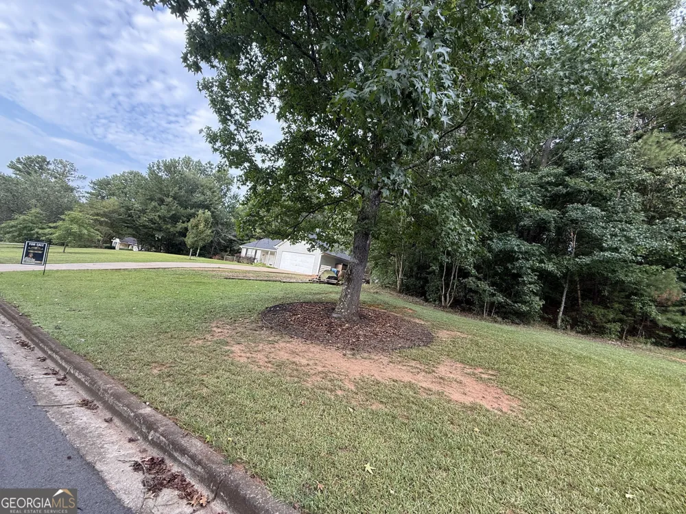 113 Honey LN McDonough, GA 30252