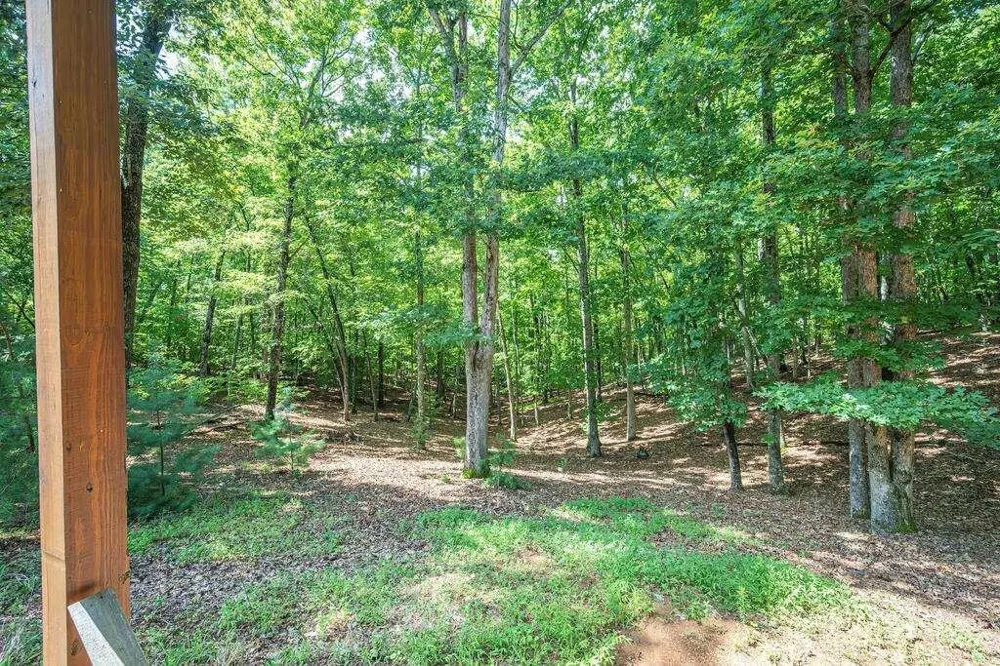 72 Gibbs Trail Mineral Bluff, GA 30559