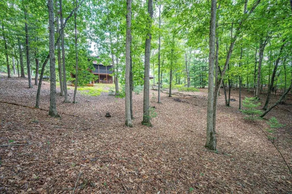 72 Gibbs Trail Mineral Bluff, GA 30559