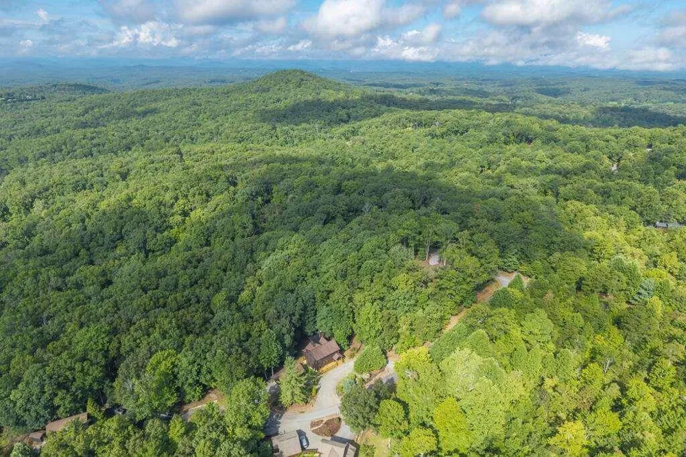 72 Gibbs Trail Mineral Bluff, GA 30559