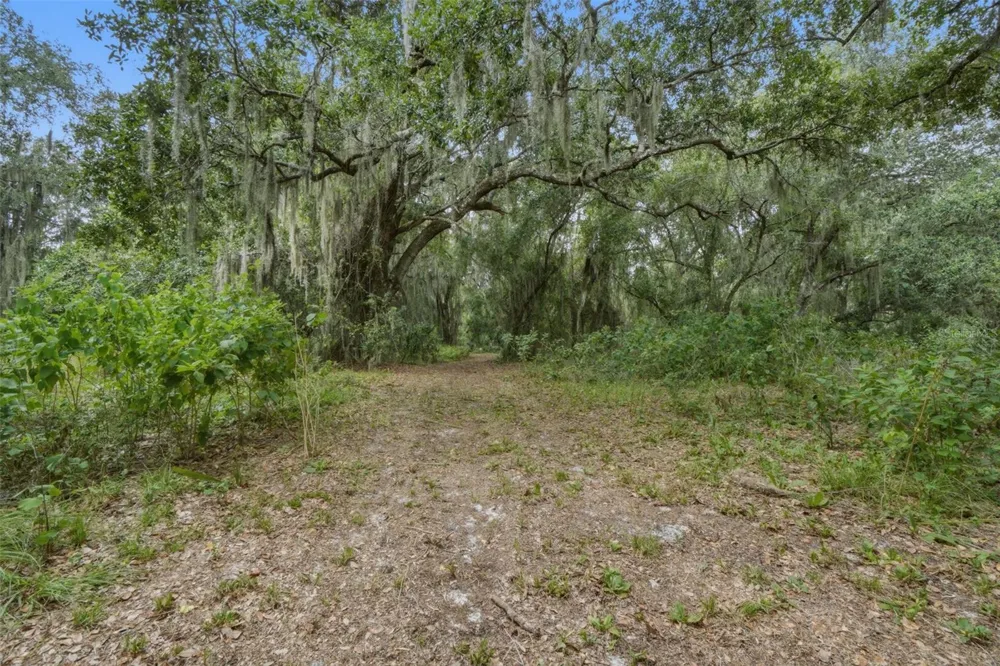 2794 HOLIDAY WOODS DRIVE Kissimmee, FL 34744