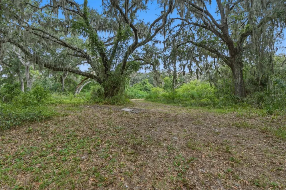 2794 HOLIDAY WOODS DRIVE Kissimmee, FL 34744
