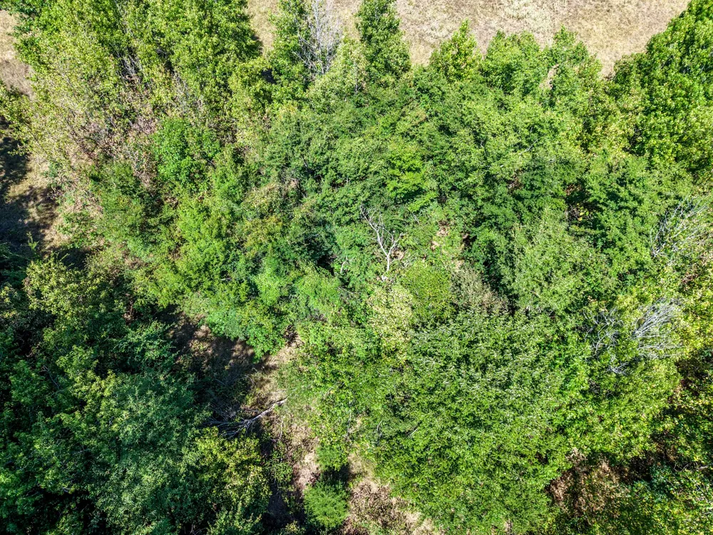 County Road 2331 Como, TX 75431