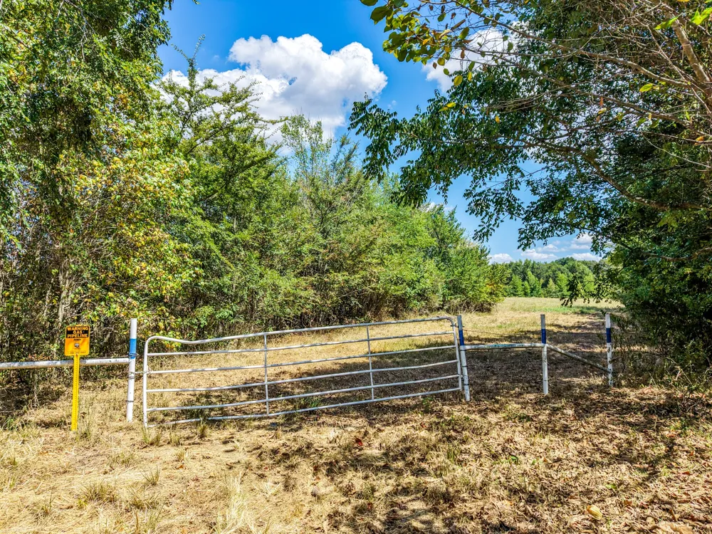 County Road 2331 Como, TX 75431