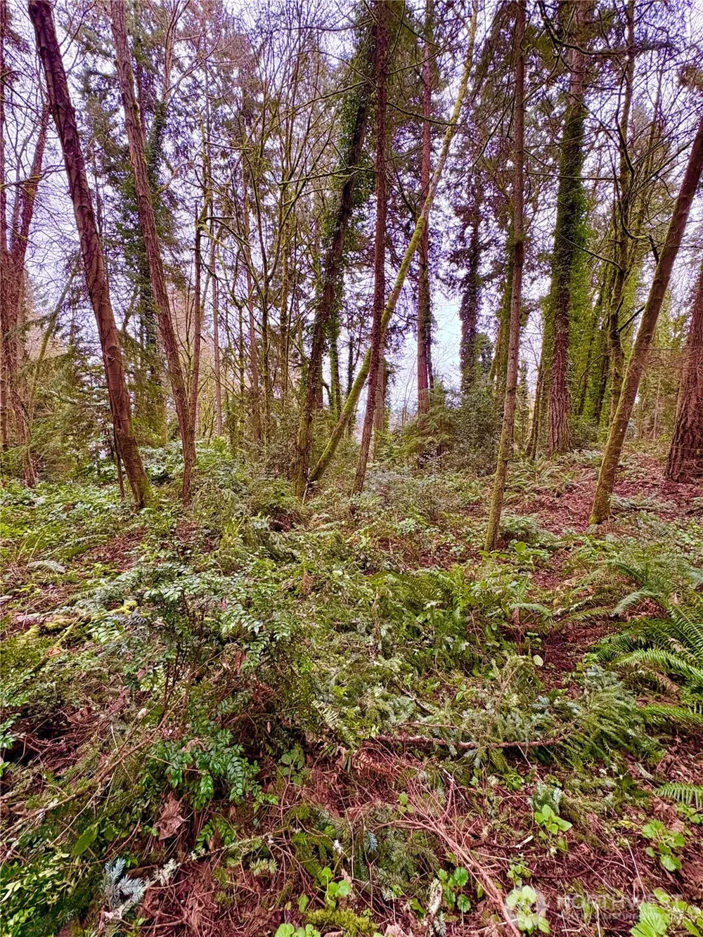 0 SW 230th Street Vashon, WA 98070