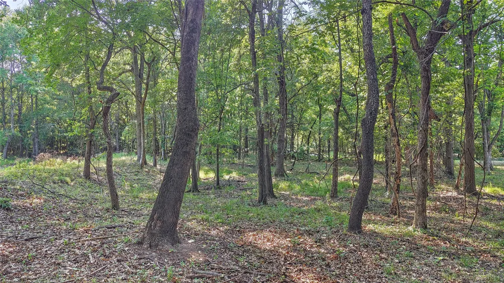 Lynn Lane Eufaula, OK 74432