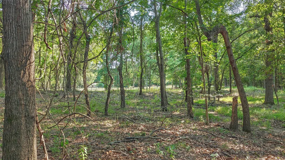 Lynn Lane Eufaula, OK 74432