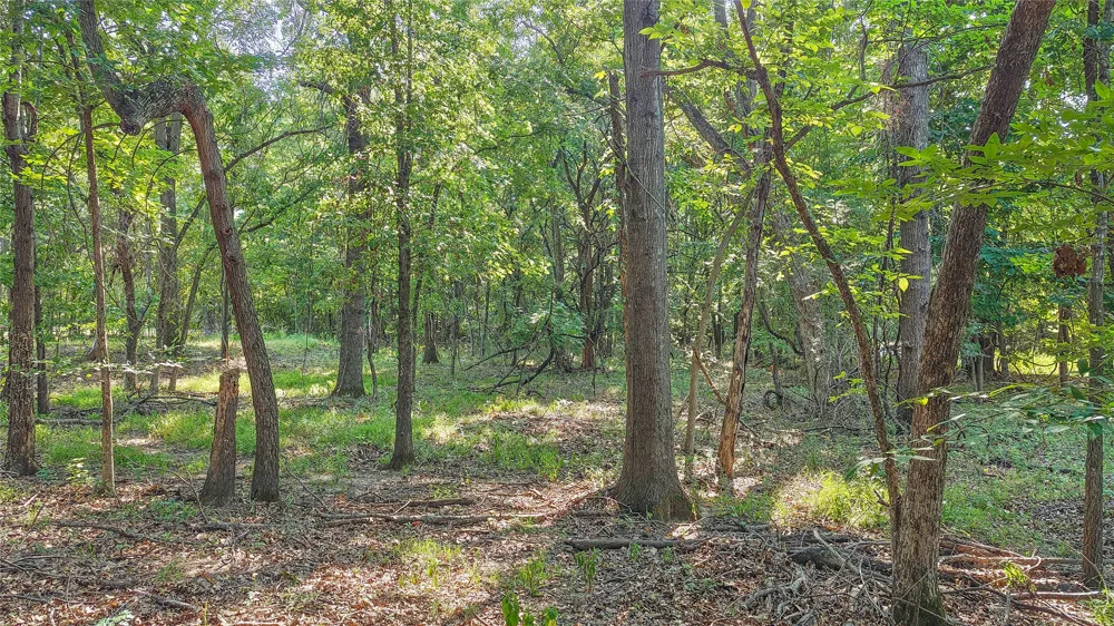 Lynn Lane Eufaula, OK 74432