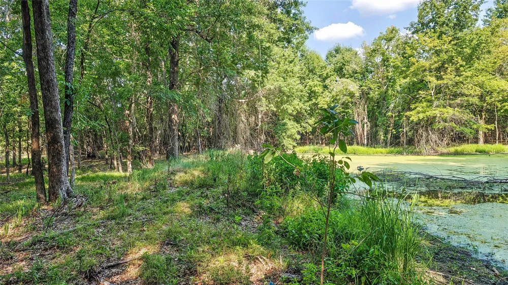 Lynn Lane Eufaula, OK 74432