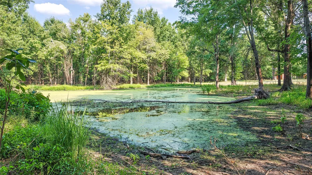 Lynn Lane Eufaula, OK 74432