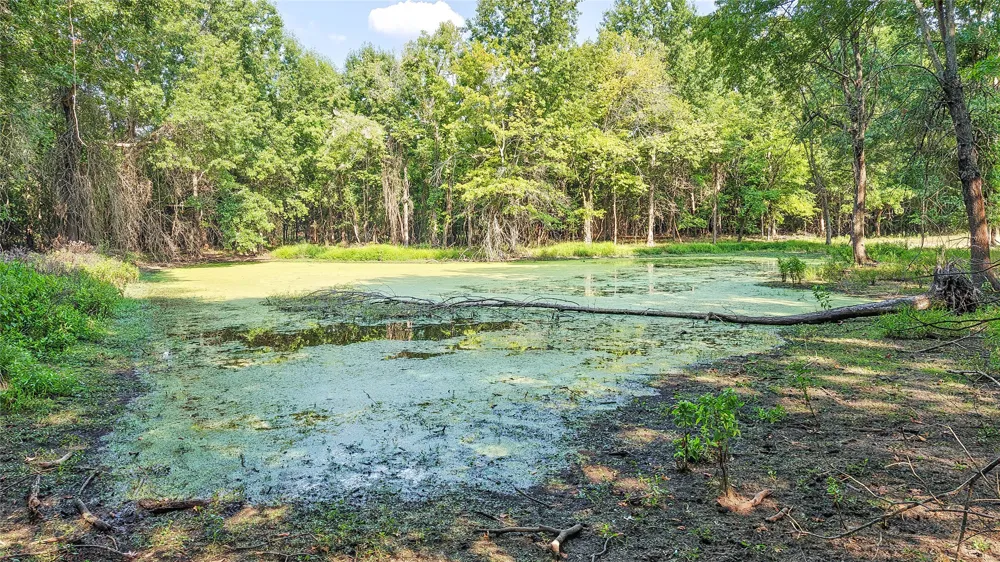 Lynn Lane Eufaula, OK 74432