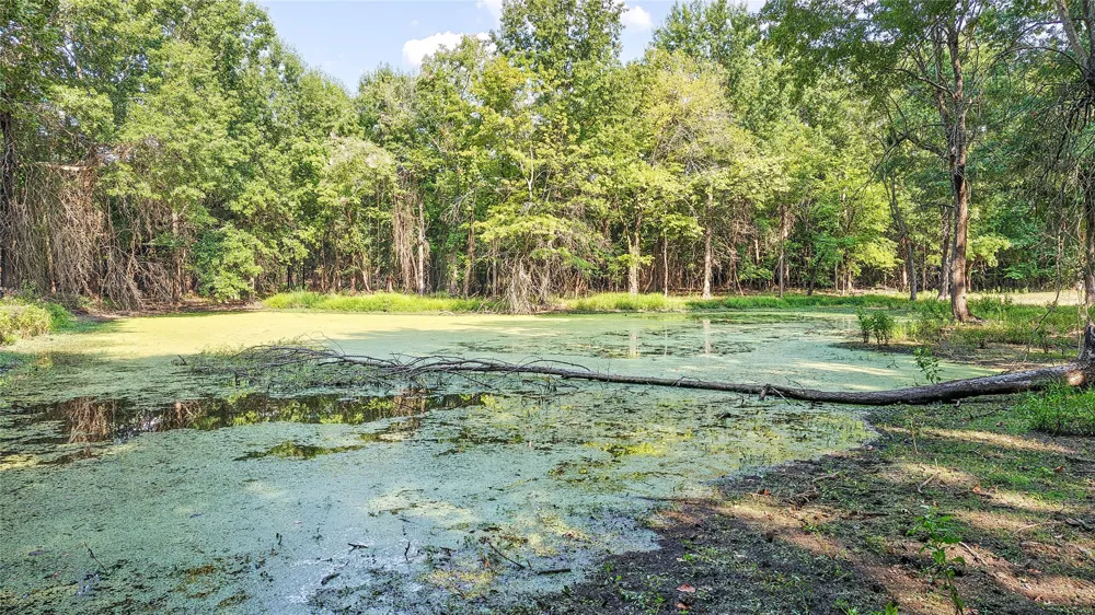 Lynn Lane Eufaula, OK 74432