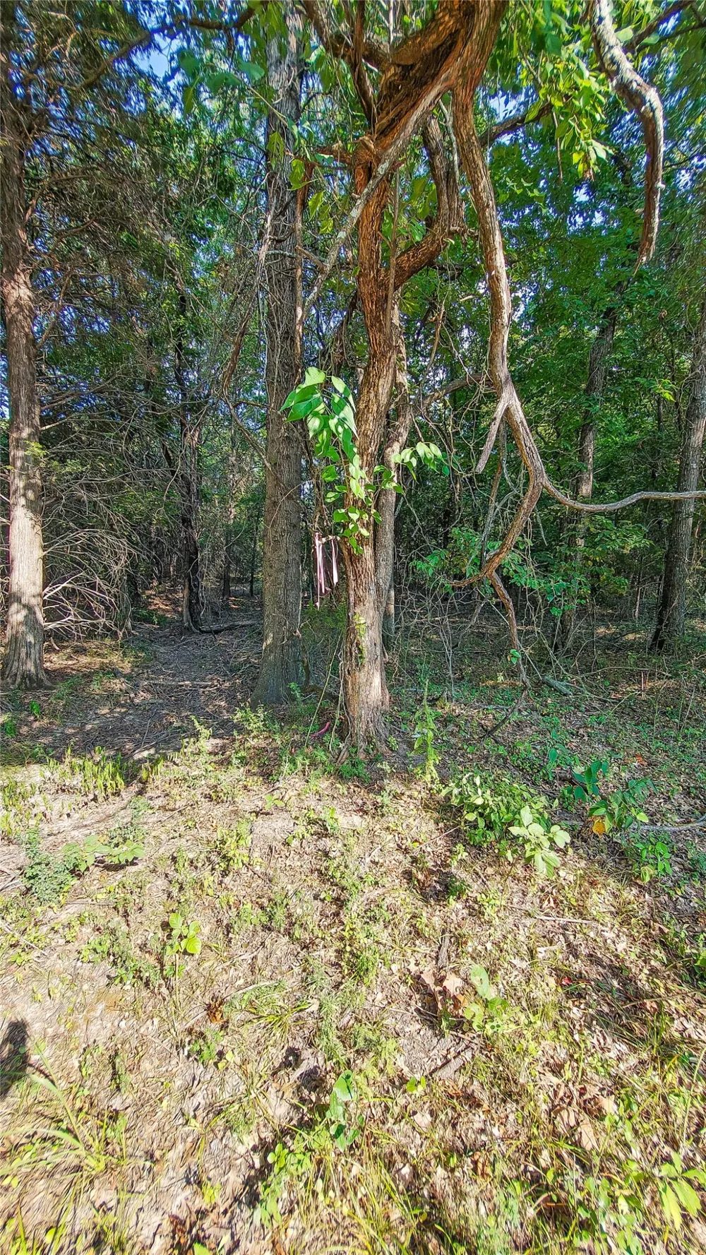 Lynn Lane Eufaula, OK 74432