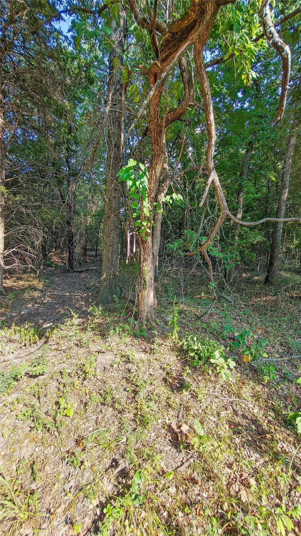 Lynn Lane Eufaula, OK 74432