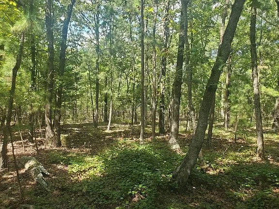 181201 Flat Top Road Moyers, OK 74557