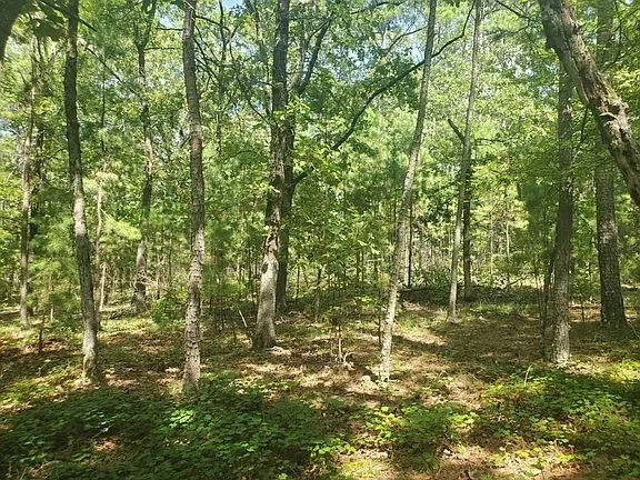 181201 Flat Top Road Moyers, OK 74557