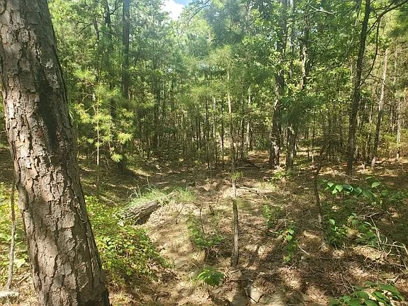 181201 Flat Top Road Moyers, OK 74557