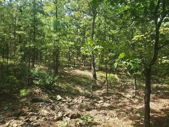 181201 Flat Top Road Moyers, OK 74557