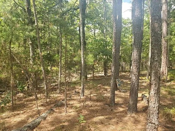 181201 Flat Top Road Moyers, OK 74557