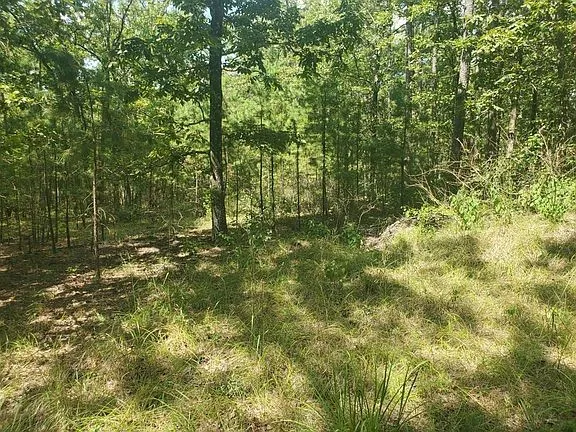 181201 Flat Top Road Moyers, OK 74557