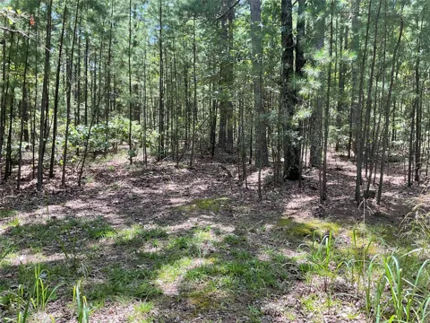 181201 Flat Top Road