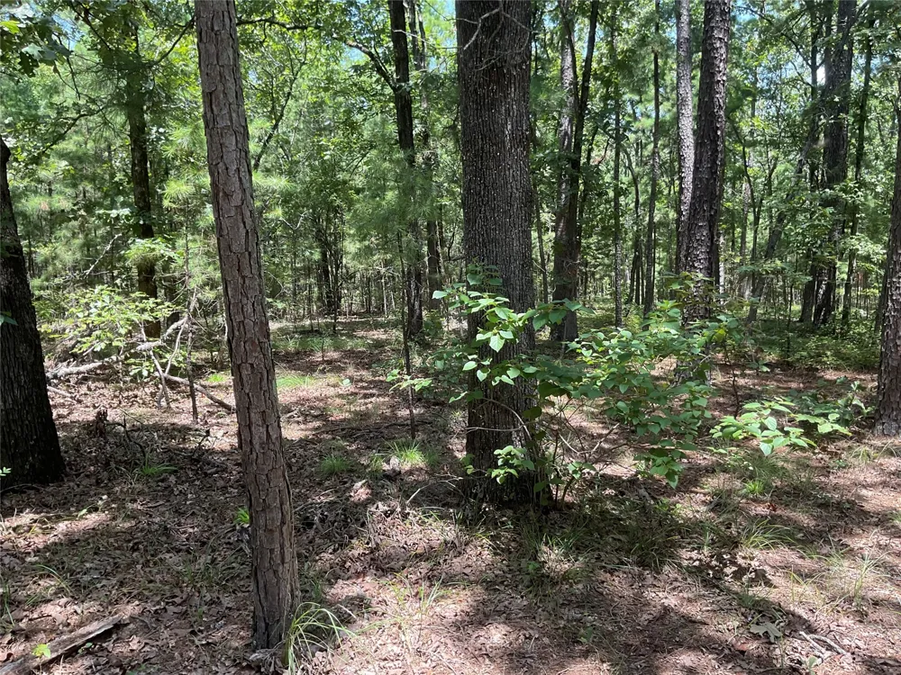 181201 Flat Top Road Moyers, OK 74557